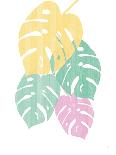 Monstera II Bright on White-Sarah Adams-Art Print