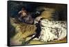 Sarah Bernhardt 1871-Georges Clairin-Framed Stretched Canvas