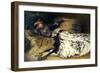 Sarah Bernhardt 1871-Georges Clairin-Framed Giclee Print