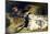 Sarah Bernhardt 1871-Georges Clairin-Mounted Giclee Print
