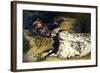 Sarah Bernhardt 1871-Georges Clairin-Framed Giclee Print