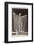 Sarah Bernhardt, Phedre-null-Framed Photographic Print