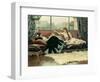 Sarah Bernhardt-Julius Leblanc Stewart-Framed Premium Giclee Print