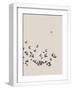 White Frame