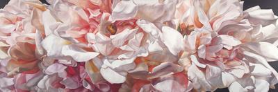 Pink Peonies-Sarah Caswell-Giclee Print