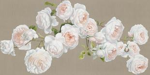 Romantic Roses-Sarah Caswell-Giclee Print