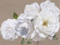 Apple Blossom-Sarah Caswell-Giclee Print