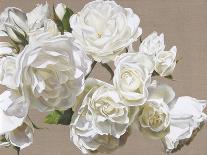 Romantic Roses-Sarah Caswell-Giclee Print