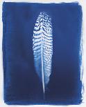 Brushmark Trees-Sarah Cheyne-Giclee Print