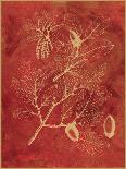 Golden Oak I-Sarah Chilton-Art Print