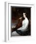 Sarah Curran Playing The Harp, 1800-William Beechey-Framed Giclee Print