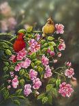 Robin with Hydrangeas-Sarah Davis-Giclee Print