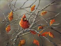 Cardinals in Pumpkin Patch-Sarah Davis-Framed Giclee Print