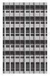 Brutalist Facade-Sarah Evans-Giclee Print