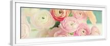 White Frame