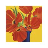 Sunny Tulips-Sarah Horsfall-Stretched Canvas