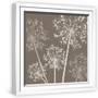 White Frame