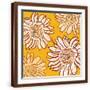 Brown Frame