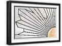 Black Frame