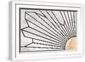 White Frame