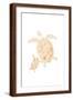 Brown Frame