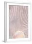 Chelsea White