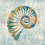 Coastal Beauty I-Sarah Mousseau-Art Print