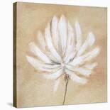 Tan and White-Sarah Parker-Stretched Canvas