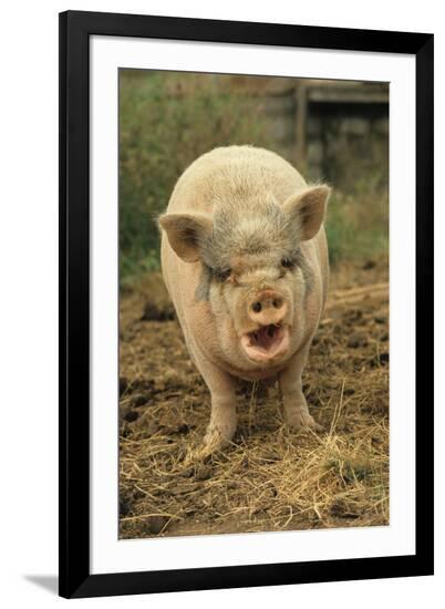 Photographic Print, , large