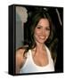 Sarah Shahi-null-Framed Stretched Canvas