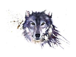 sarah-stokes-snow-wolf_u-L-PSTI900