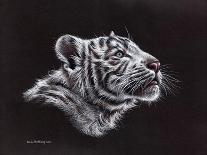 White Tiger Pastel-Sarah Stribbling-Art Print