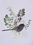 Birdy with leaves-Sarah Thompson-Engels-Giclee Print