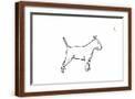 Brown Frame