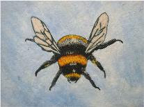 Bumble bee-Sarah Thompson-Engels-Giclee Print