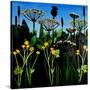 Stretched Canvas