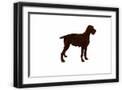 Black Frame