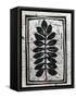Canvas Black