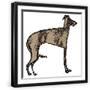 Black Frame