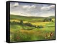 Canvas Black