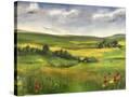 Stretched Canvas