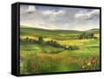 Canvas Black