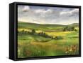 Canvas Black