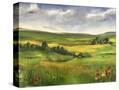 Stretched Canvas