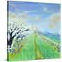 Stretched Canvas