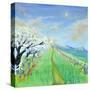Stretched Canvas