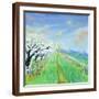 Brown Frame