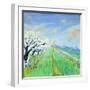 White Frame