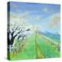 Stretched Canvas
