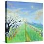 Stretched Canvas